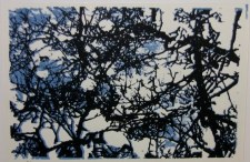 a8be43a4a17a5aaab390f3f0