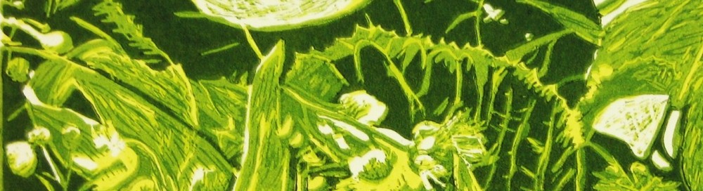 Natuurlijk Verbeelden