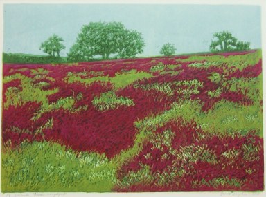 site hoogdruk, honden aangelijnd